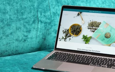 Pourquoi tes réseaux sociaux ne remplaceront jamais un site internet